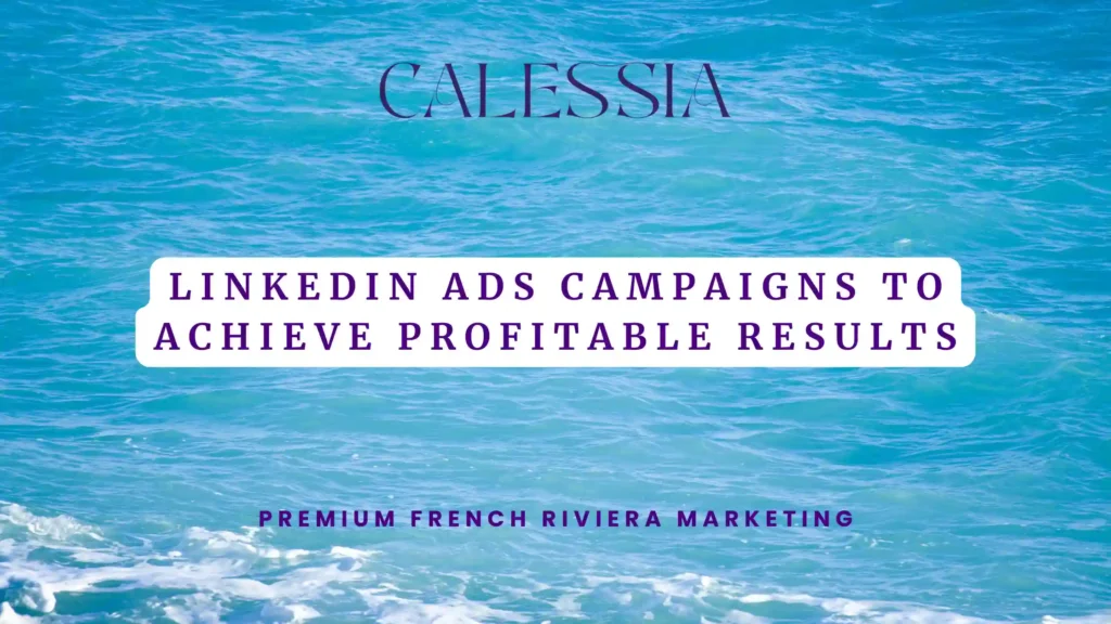 LinkedIn Ads Campaigns to Achieve Profitable Results